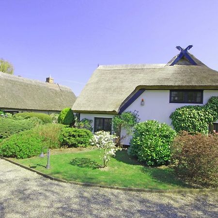 Landhaus Darss ヴィーク エクステリア 写真