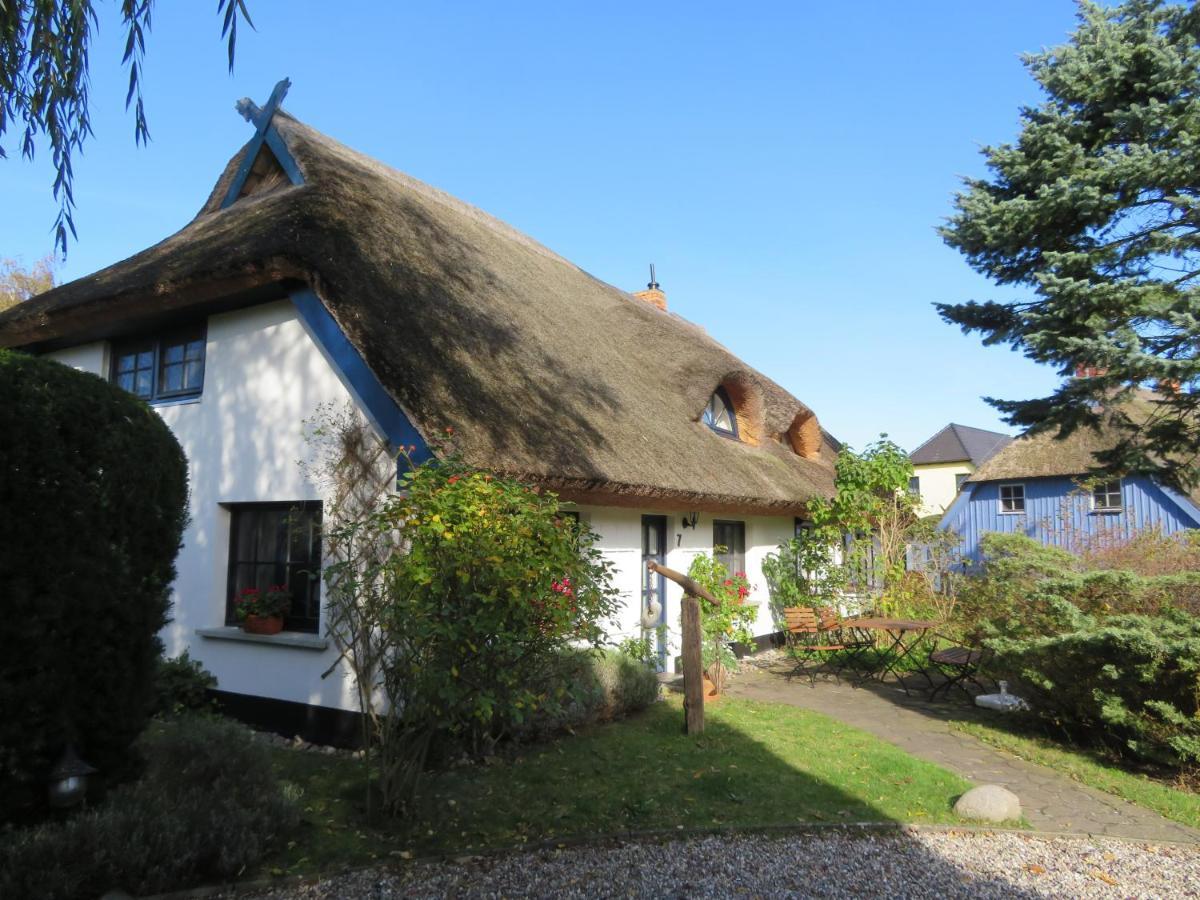 Landhaus Darss ヴィーク エクステリア 写真
